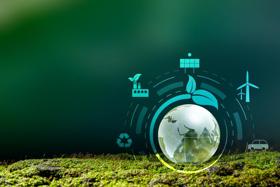 IoT Environmental Monitor